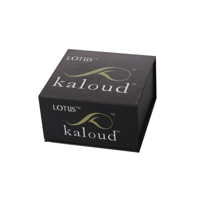 Système de Chauffe SS Lotus